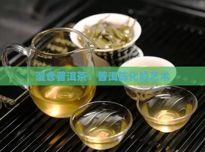 开封湿仓普洱茶