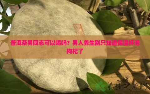 普洱茶男同志可以喝吗
