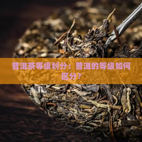 普洱茶是不是一级二级