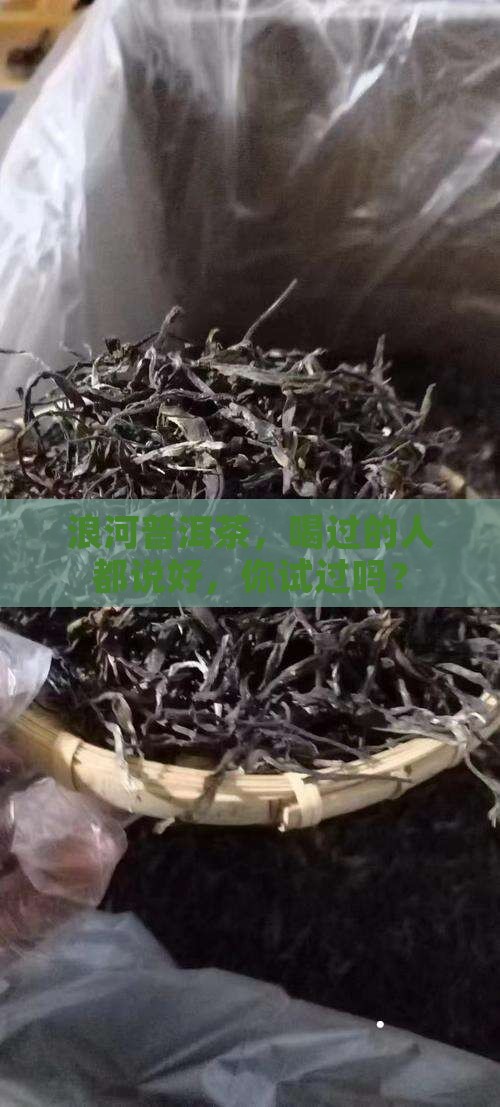 浪河普洱茶怎么样