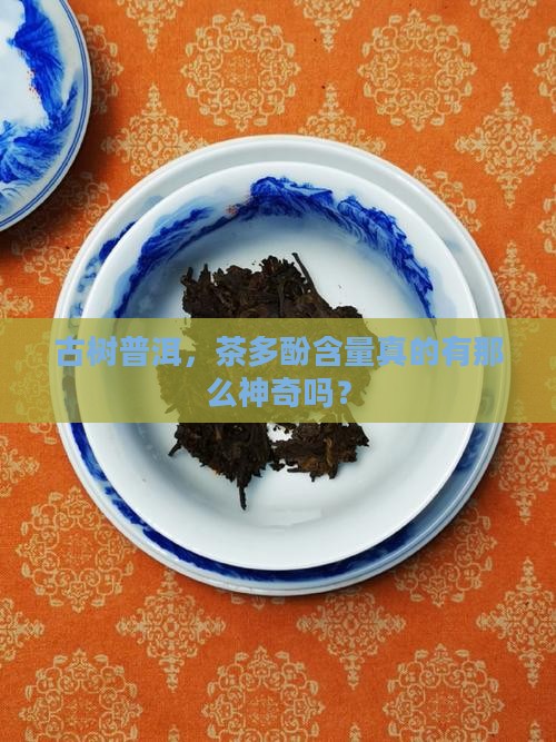 古树普洱茶中茶多酚含量