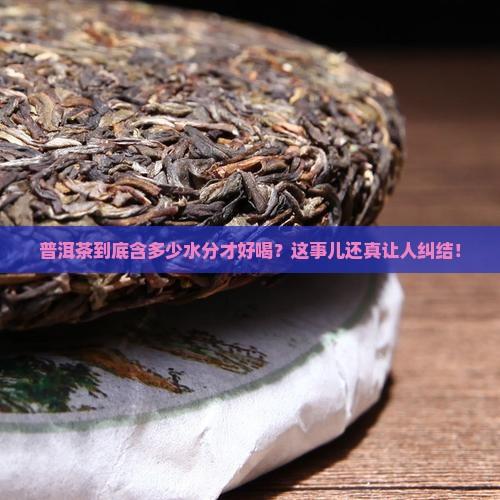 普洱茶多少水分能喝好些