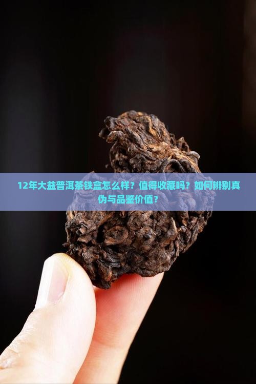 12年大益普洱茶铁盒