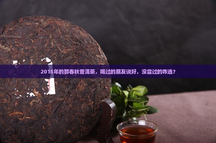 醉春秋普洱茶2015年