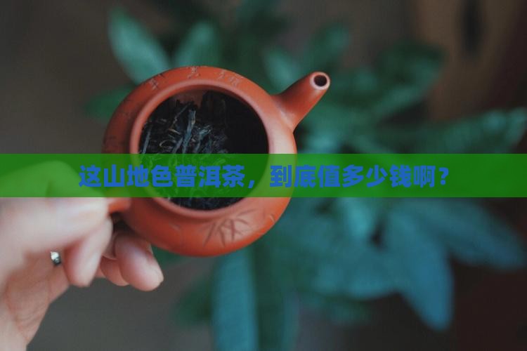山地色普洱茶价格