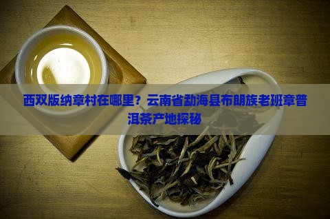 西双版纳老班章村是哪里