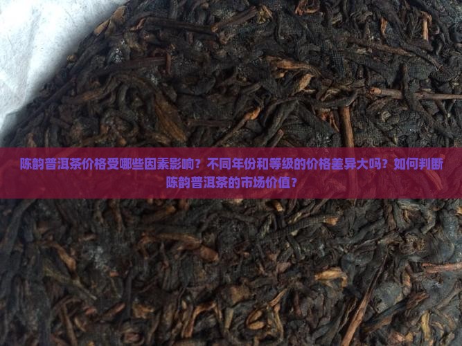 陈韵普洱茶价格