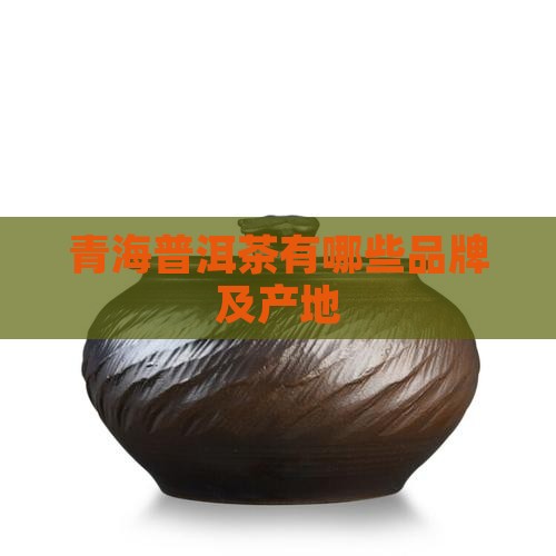 青海普洱茶有哪些