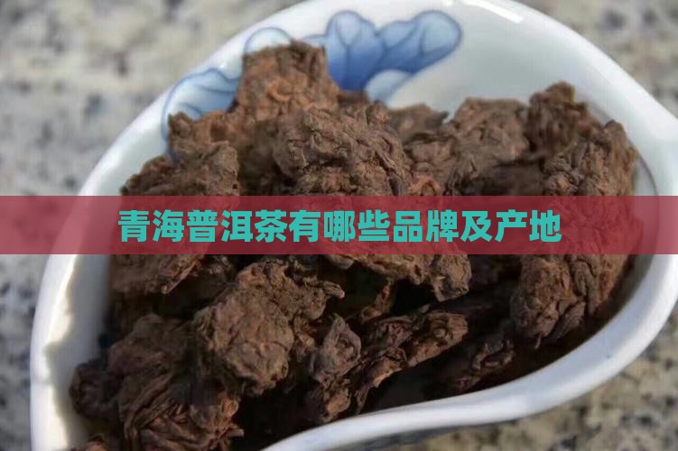 青海普洱茶有哪些
