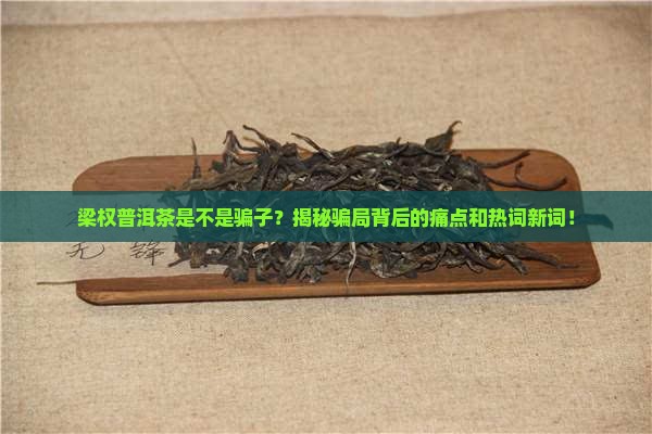 梁权普洱茶骗子