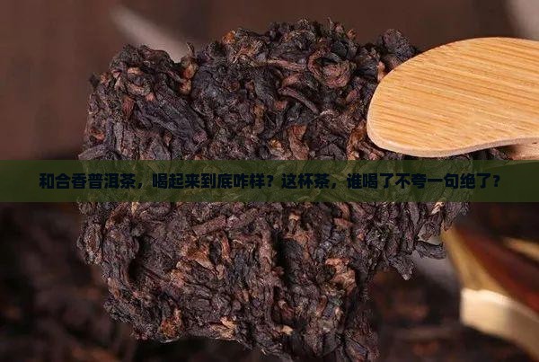 和合香普洱茶哪个好一点 和合香普洱茶哪个好一点
