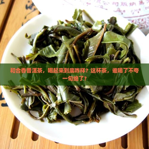 和合香普洱茶哪个好一点 和合香普洱茶哪个好一点