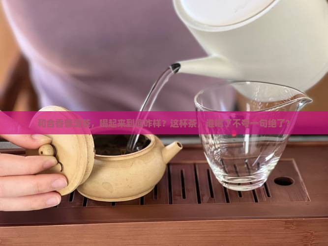 和合香普洱茶哪个好一点 和合香普洱茶哪个好一点