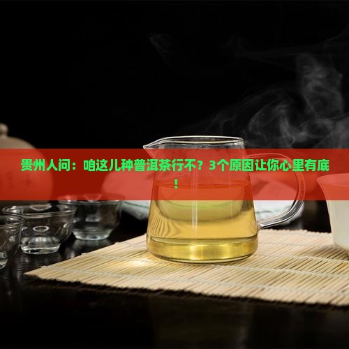 普洱茶能在贵州种植吗