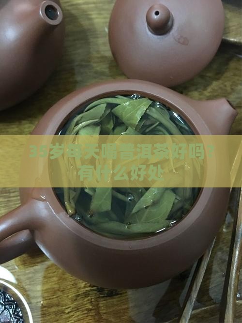 35岁每天喝普洱茶
