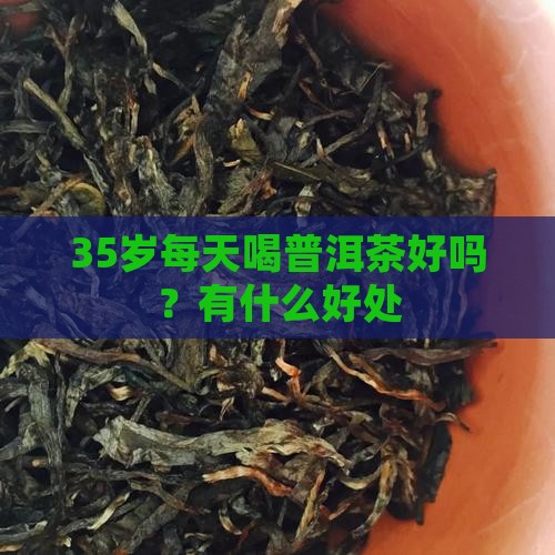 35岁每天喝普洱茶