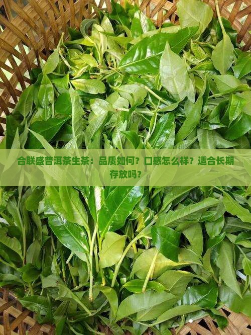 合联盛普洱茶生茶