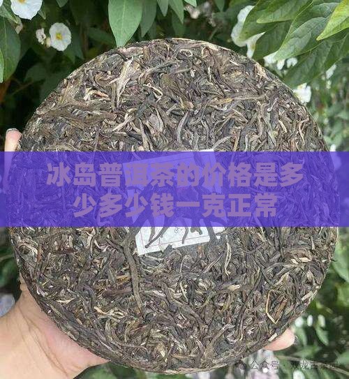 冰岛普洱茶多少钱一克正常