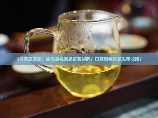 好茶饼冰岛单株茶