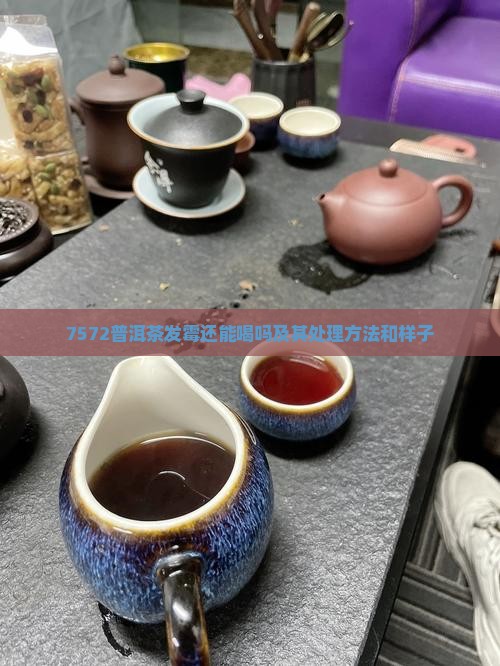 7572普洱茶发霉 7572普洱茶发霉