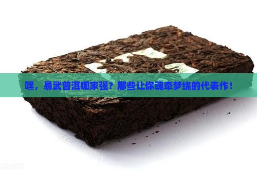 易武普洱茶代表作