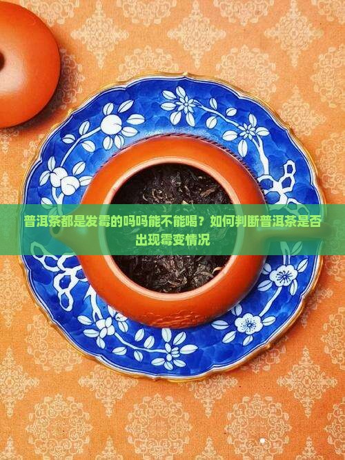 普洱茶都是发霉的吗吗能不能喝