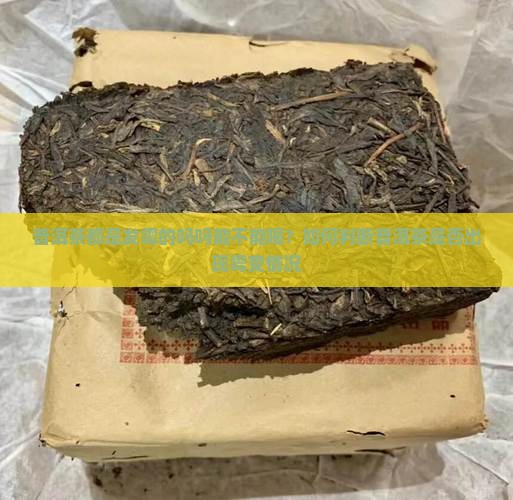 普洱茶都是发霉的吗吗能不能喝