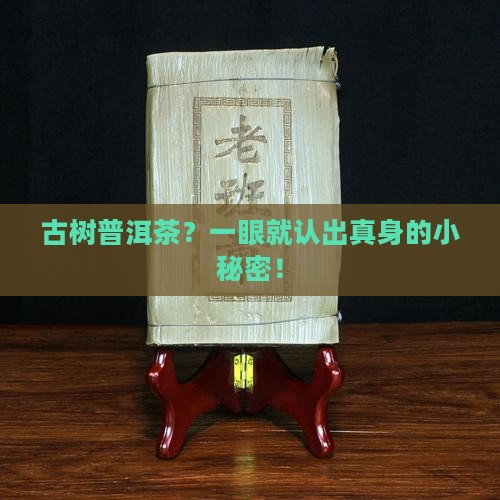 怎样辨别普洱茶古树茶