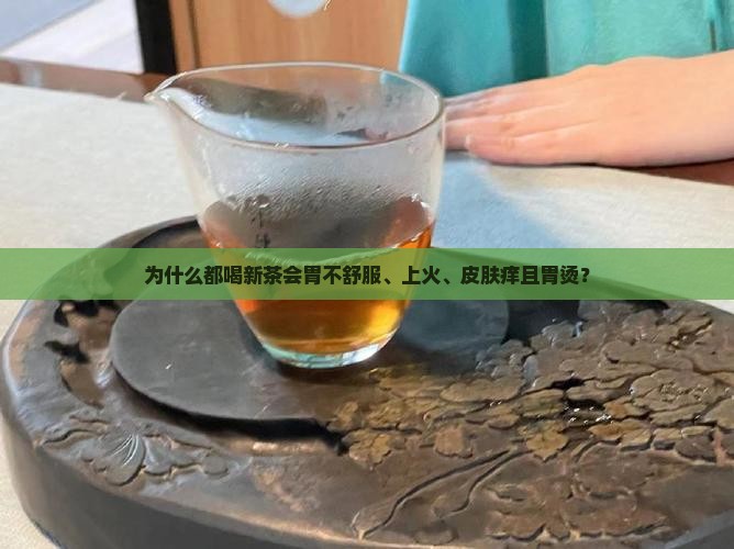 为什么都喝新茶 为什么都喝新茶