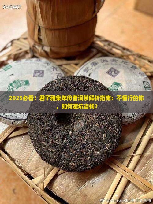君子雅集年份普洱茶
