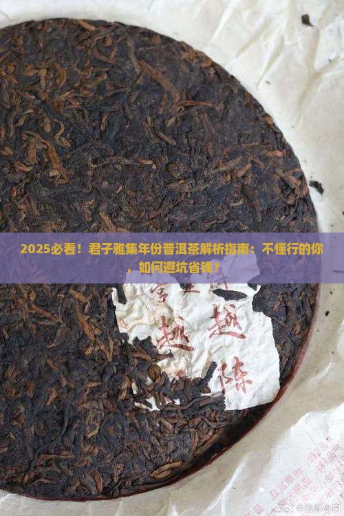 君子雅集年份普洱茶