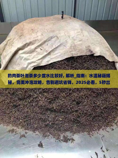 豹肉茶叶泡茶多少度水比较好