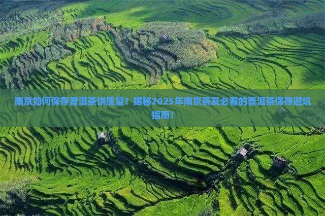 南京如何保存普洱茶饼质量