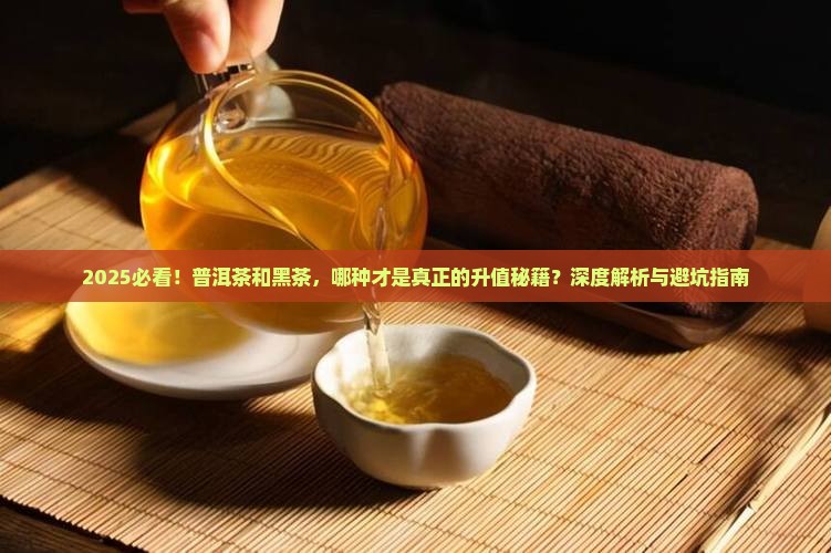 普洱茶和黑茶哪种升值快