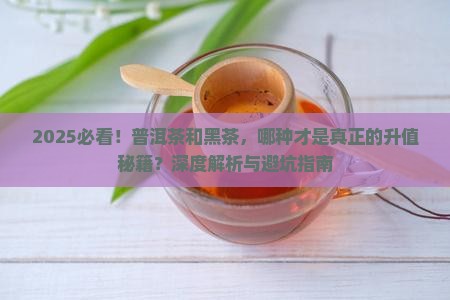 普洱茶和黑茶哪种升值快