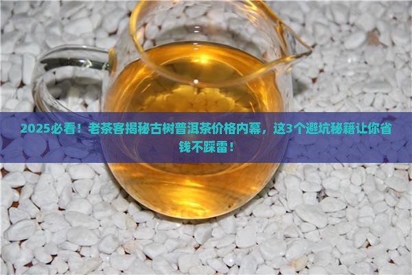 古树普洱茶价格内幕