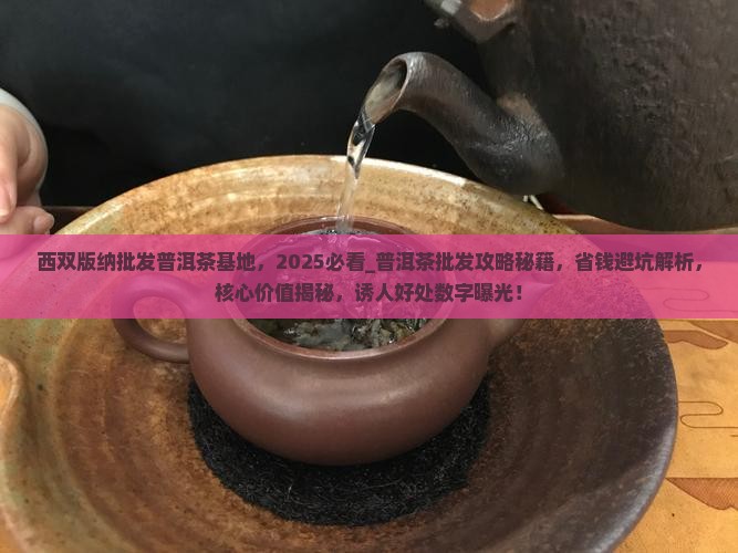 西双版纳批发普洱茶基地
