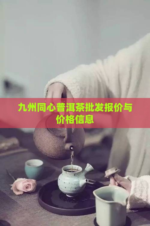 九州同心普洱茶价格