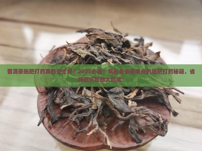 普洱茶施肥打药