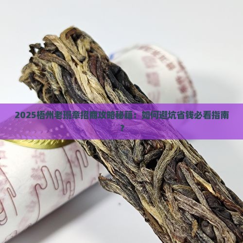 梧州老班章招商条件