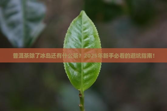 普洱茶除了冰岛还有什么茶