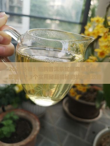 临朐普洱茶加盟商电话地址