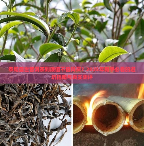 泰和盛世普洱茶