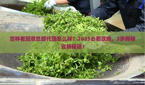 吉林老班章总部代理