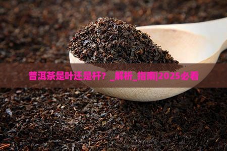 普洱茶是叶还是杆