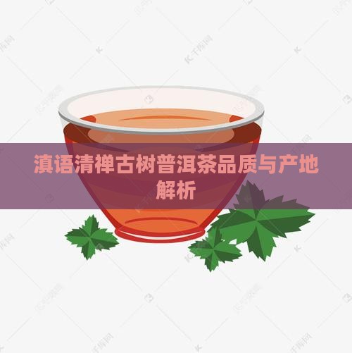 滇语清禅古树普洱茶