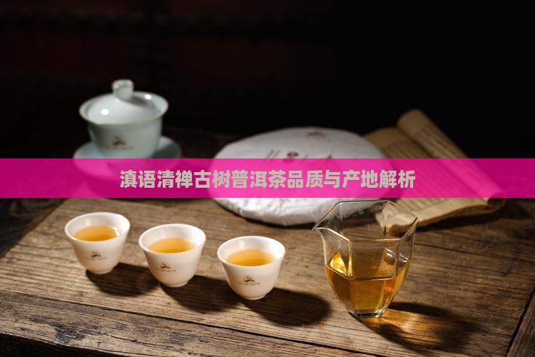 滇语清禅古树普洱茶