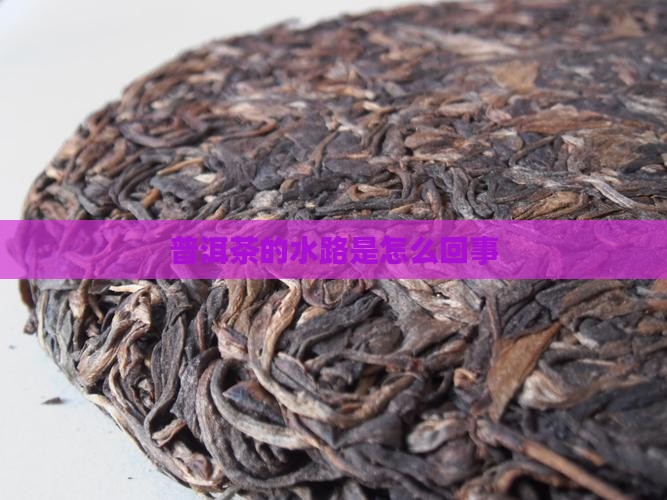 普洱茶的水路是怎么回事