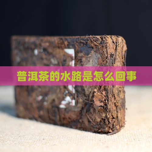 普洱茶的水路是怎么回事