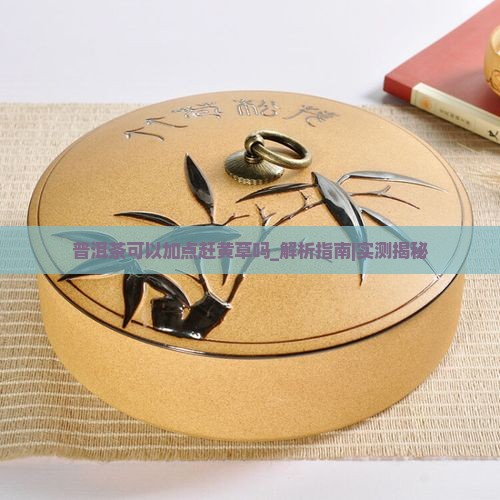 普洱茶可以加点赶黄草吗